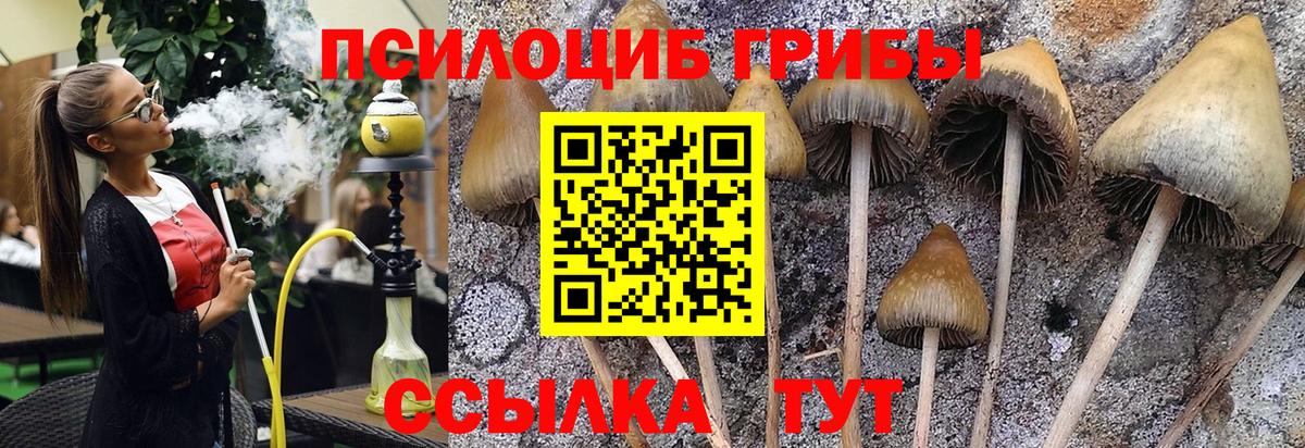 Псилоцибиновые грибы GOLDEN TEACHER Гагарин