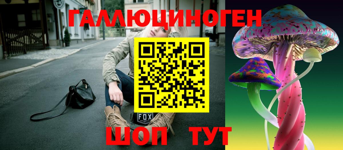 Галлюциногенные грибы Psilocybe  Вход с VPN  купить   Гагарин 